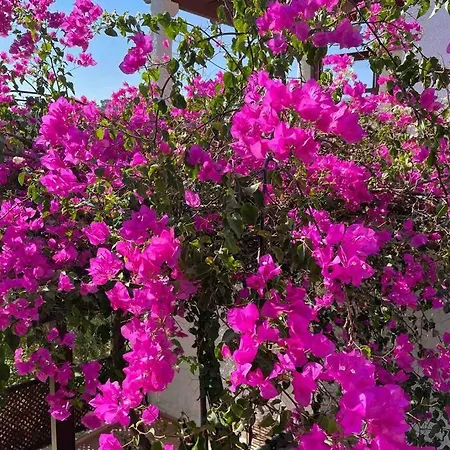 Sea View&Beach Villa in Bitez Aktur * Bodrum